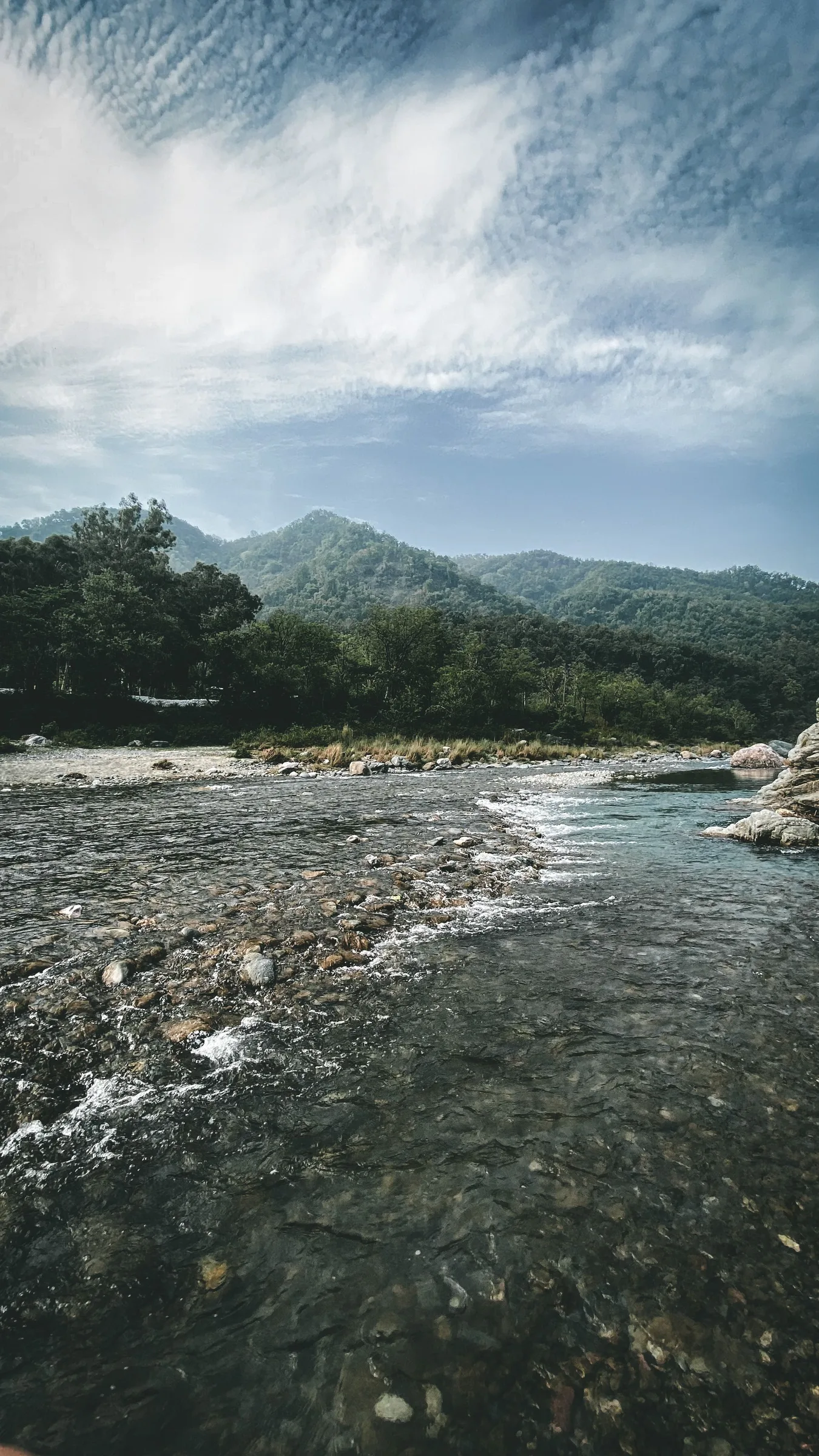 Jim Corbett